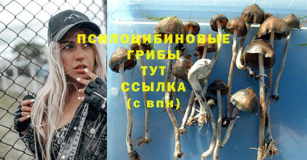 гашишное масло Бугульма