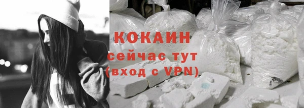 соль ск Бородино