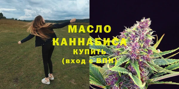 соль ск Бородино