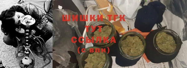 мдпв Бронницы