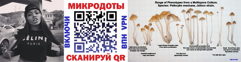 Купить  Зуевка  Галлюциногенные грибы мицелий 