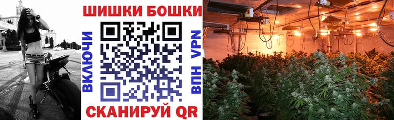 Купить  Зуевка  Марихуана ГИДРОПОН 